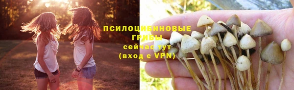 кокаин перу Гусев