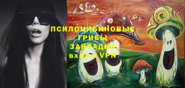 ALPHA-PVP Гусь-Хрустальный