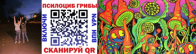Псилоцибиновые грибы GOLDEN TEACHER  Купить где  Фрязино 